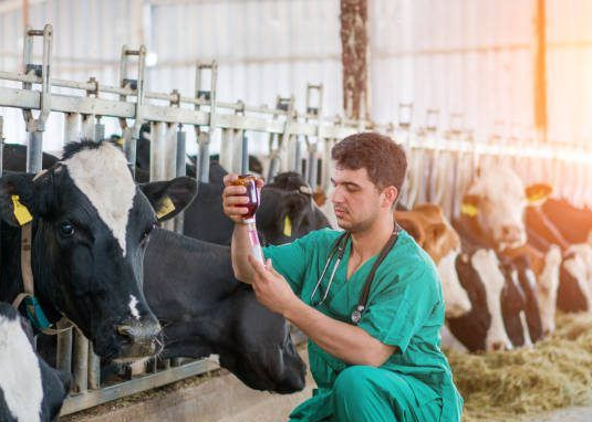 Livestock Producers